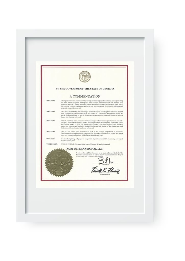 certificate frame 01