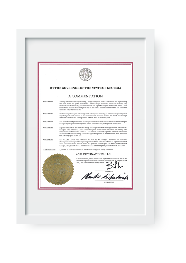 certificate frame 04