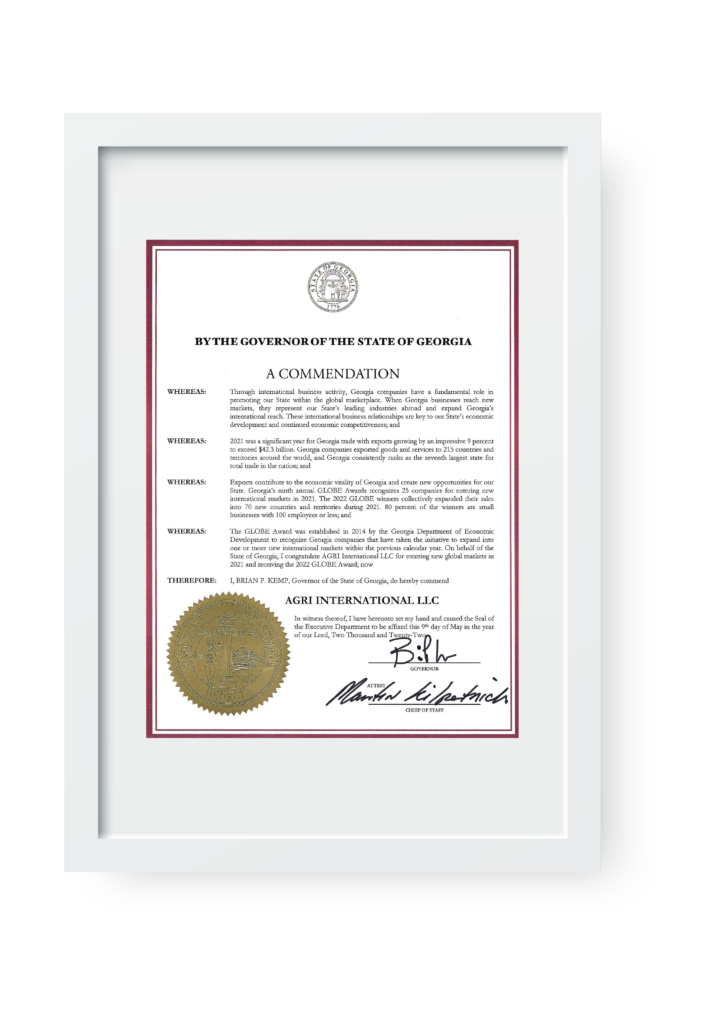 certificate frame 06