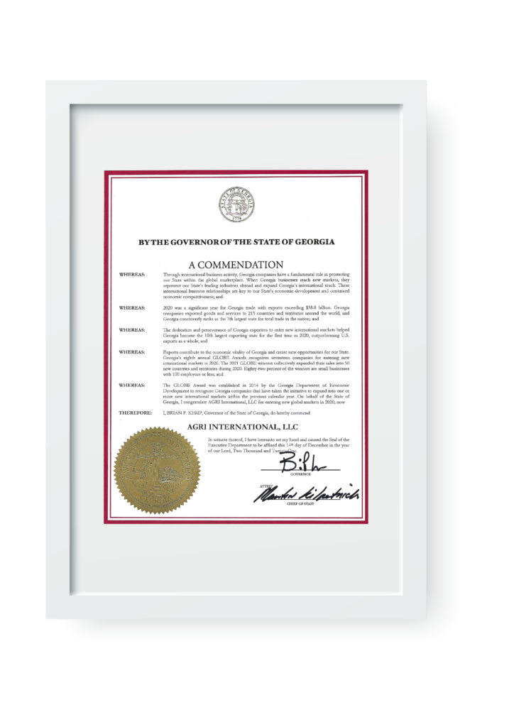 certificate frame 08