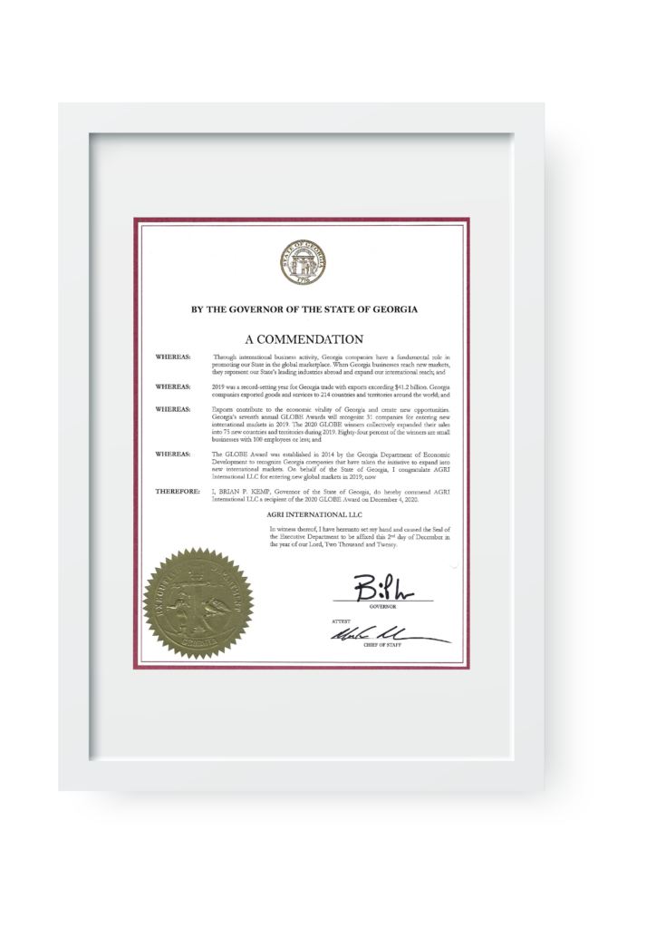 certificate frame 10